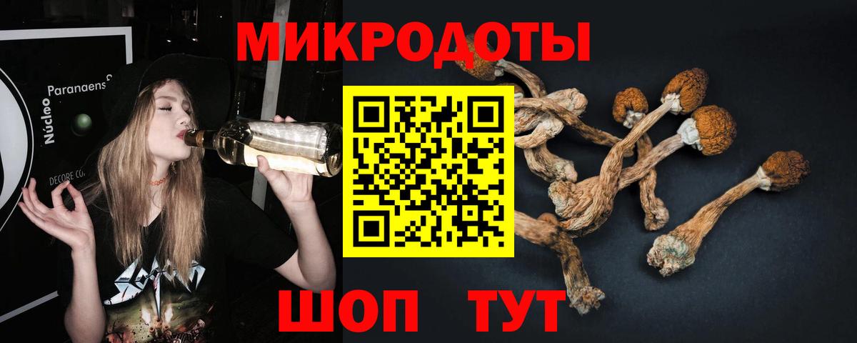 Псилоцибиновые грибы Psilocybe  Галлюциногенные грибы прущие грибы  Коммунар  Вход с VPN 